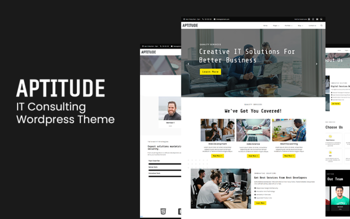 Aptitude - BT Hizmetleri ve Teknoloji Wordpress Teması