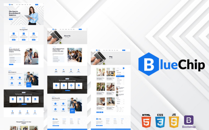 BlueChip Kurumsal Web Sitesi HTML'si