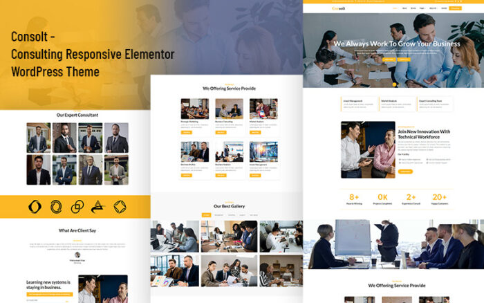 Consolt - Danışmanlık Duyarlı Elementor WordPress Teması
