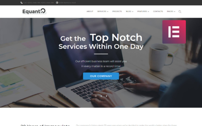 Equanto - İşletme Danışmanlığı WordPress Elementor Teması