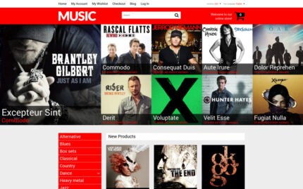 Mixed Taste Music Shop Magento Teması