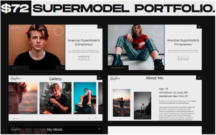 Model Portföyü Çok Amaçlı HTML WINK Web Sitesi Şablonu