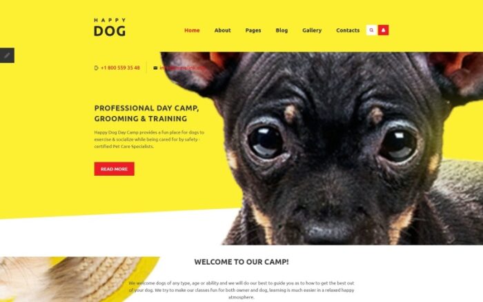 Mutlu Köpek Joomla Teması