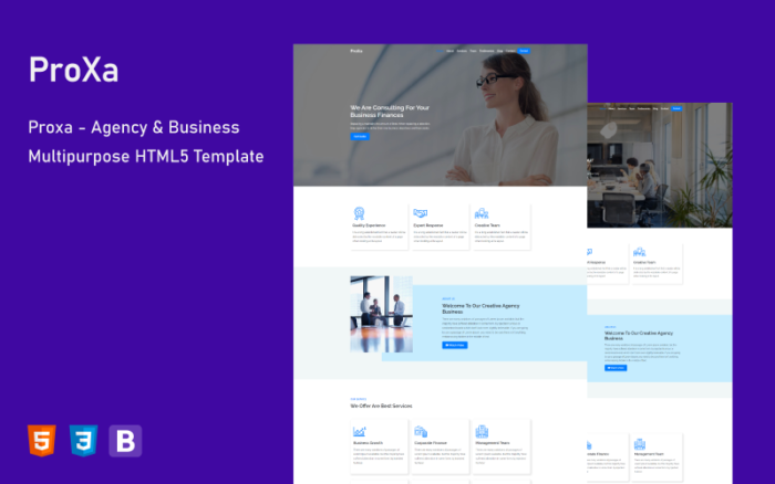 Proxa - Ajans ve İşletme Çok Amaçlı Açılış Sayfası Şablonu