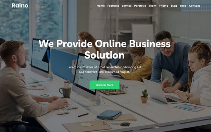 Raino - Digital Agency One page WordPress Teması