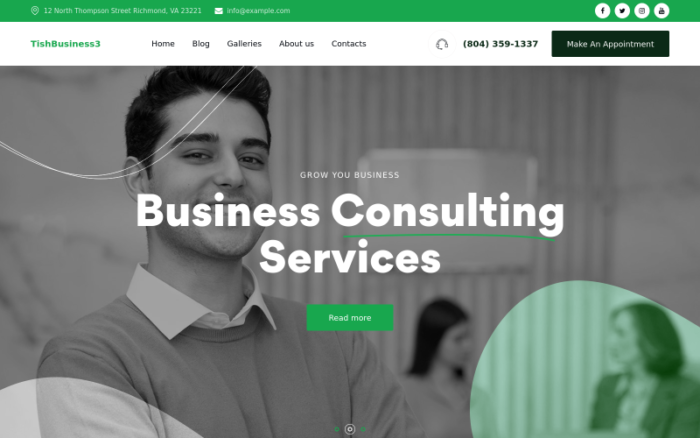 TishBusiness3 - Kurumsal ve İş WordPress Teması