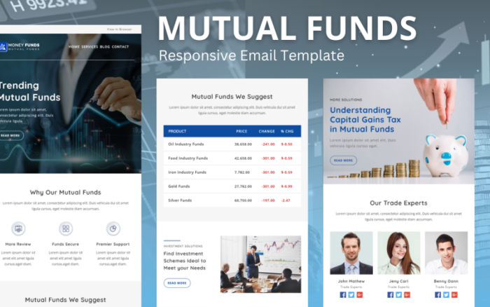 Yatırım Fonu – Çok Amaçlı Duyarlı E-posta Şablonu